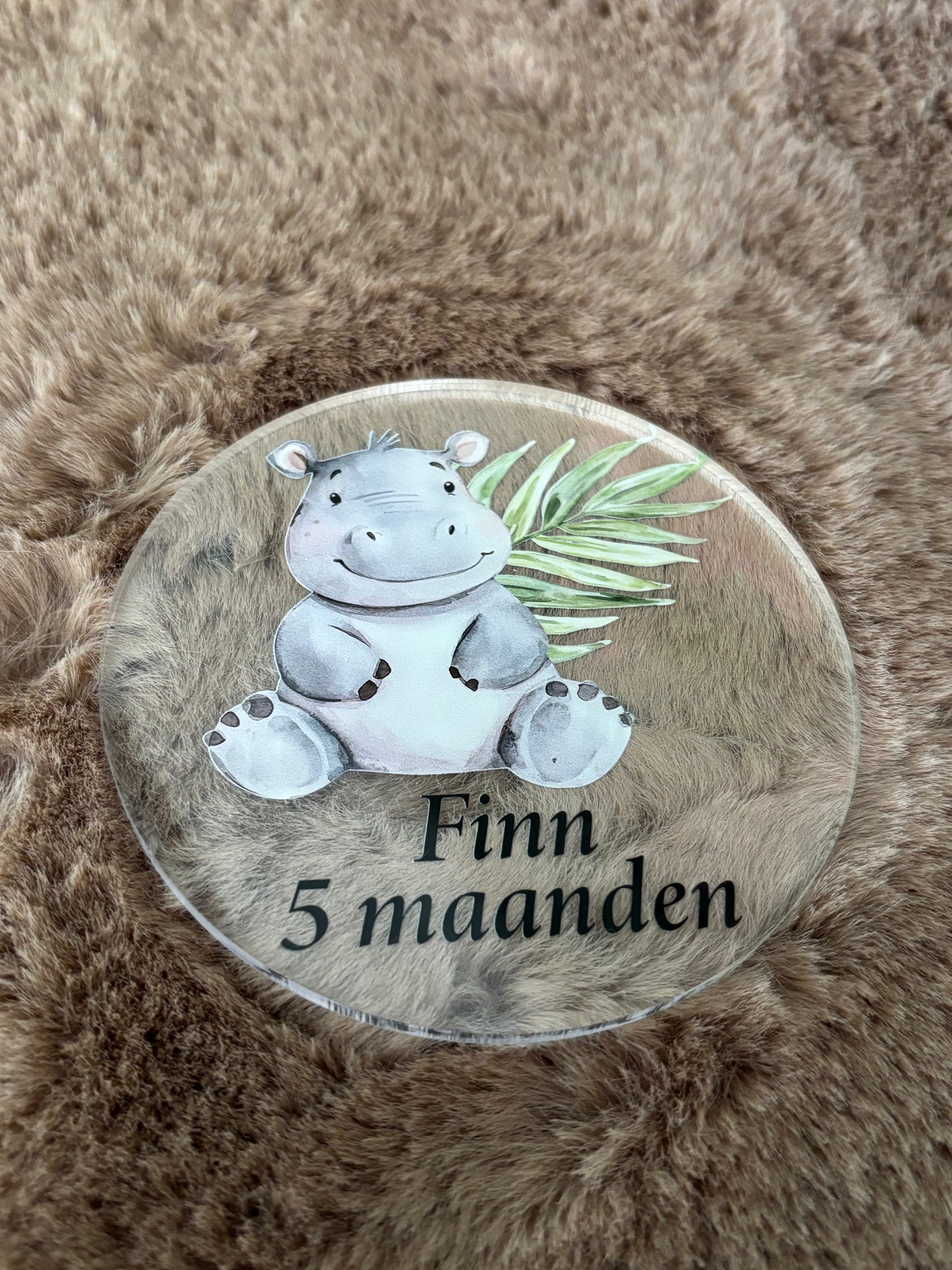 Plexiglazen mijlpalen bordjes met naam