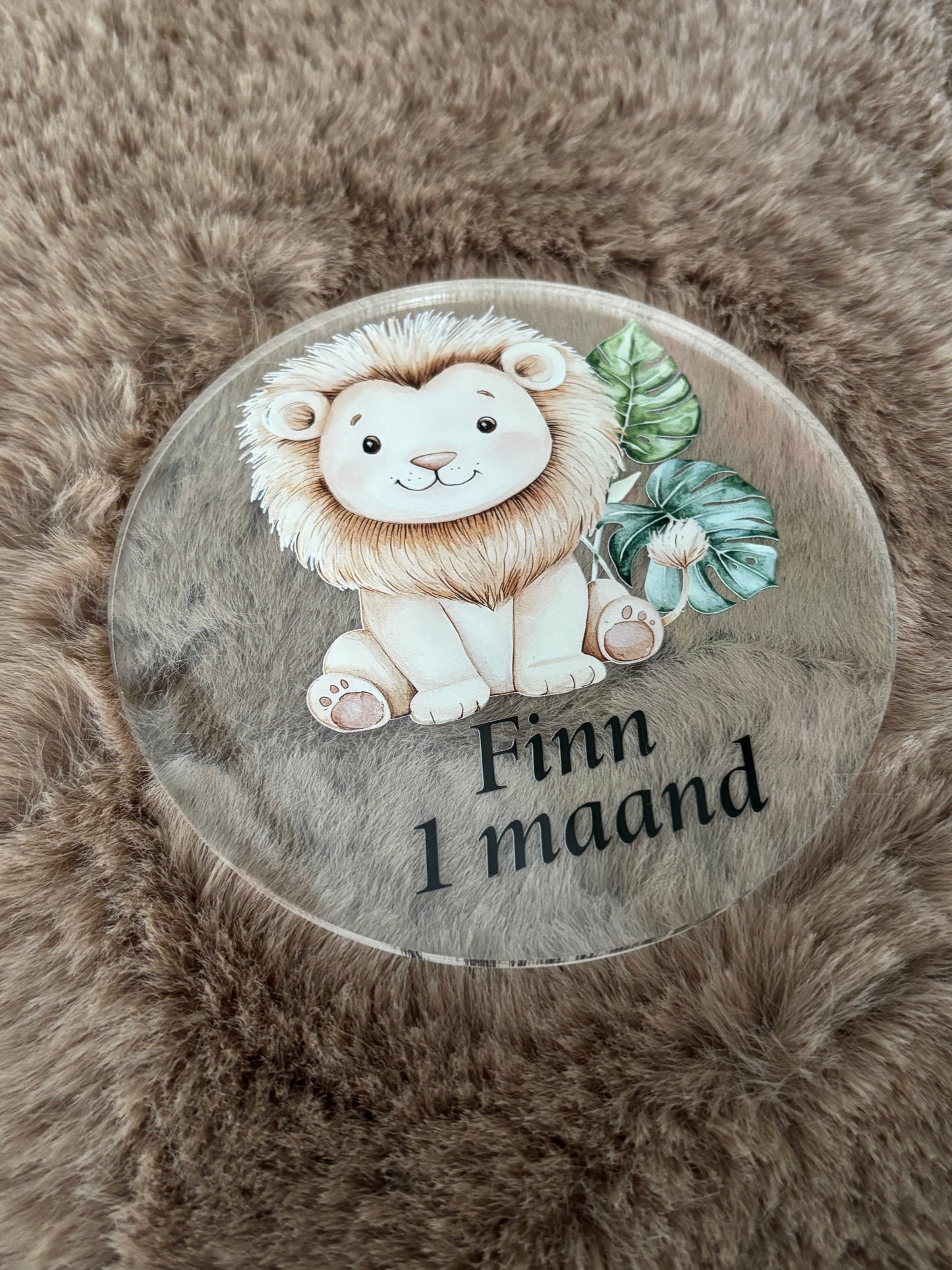 Plexiglazen mijlpalen bordjes met naam